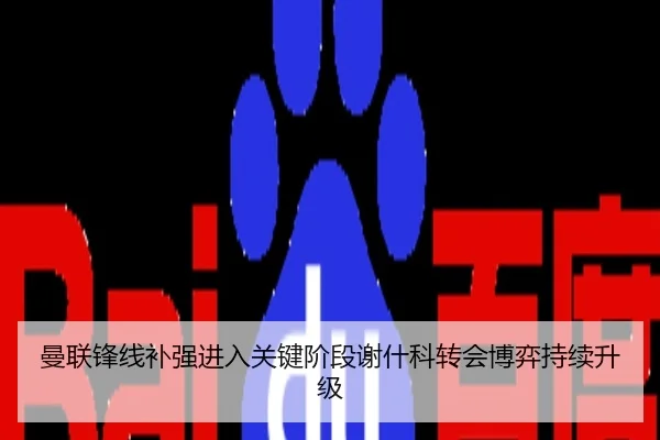 曼联锋线补强进入关键阶段谢什科转会博弈持续升级